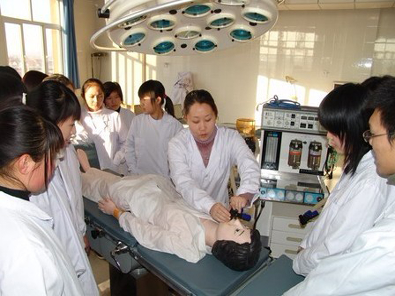Students in the Laboratory